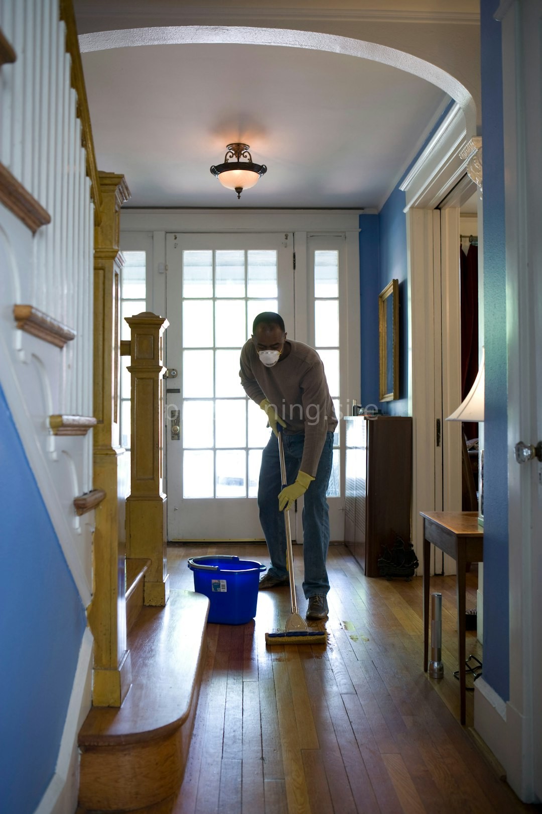 Weekly Cleaning